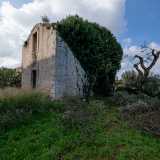 Cominciamo a visitare il luogo, notando come l�edificio principale sia circondato da una serie di strutture pi� piccole. Tra queste l�antica chiesetta...